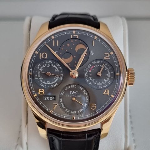 IWC iw503404