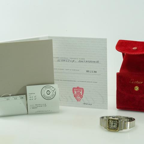 Santos de Cartier (various)