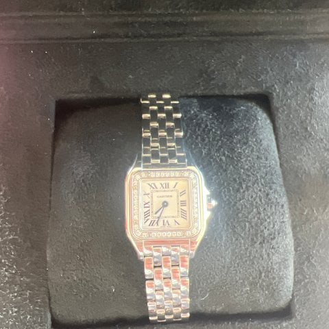 Cartier WF3091F3